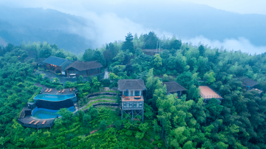 遇見茶語花香的小鎮(zhèn)——臨塘