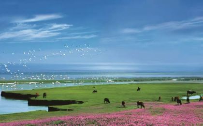 首批中國(guó)生態(tài)旅游十大示范景區(qū)之鄱陽湖國(guó)家濕地公園