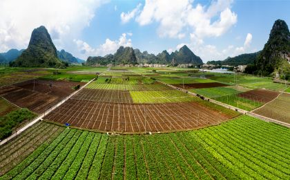 習近平生態(tài)文明思想蘊含著中國傳統(tǒng)生態(tài)智慧