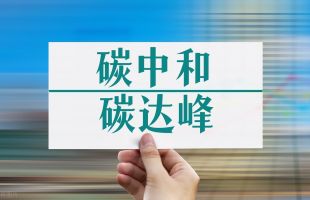 中行行長劉金：碳達(dá)峰、碳中和 一場深刻的綠色工業(yè)革命