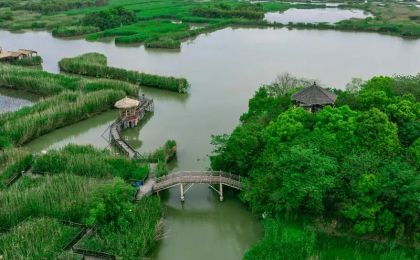 浙江多地試水碳匯交易 成為撬動綠色經濟的新支點