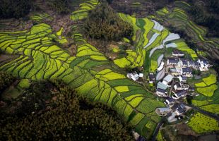 中國社會科學(xué)院包曉斌：以綠色發(fā)展推動農(nóng)業(yè)現(xiàn)代化