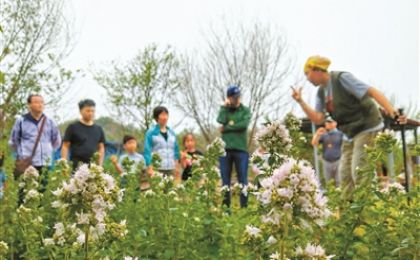 堅定走在培育綠色公民的道路上