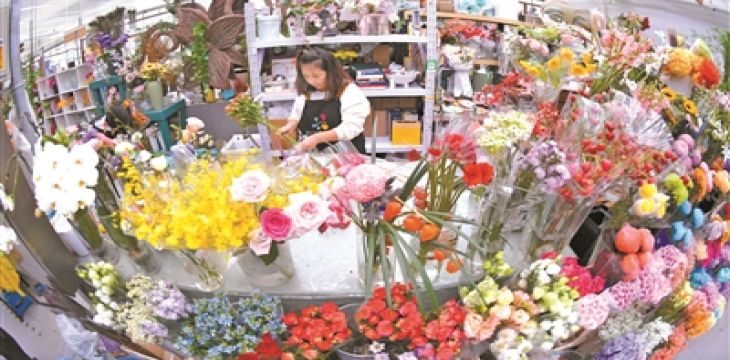 花卉市場吸引年輕人打卡去班味兒