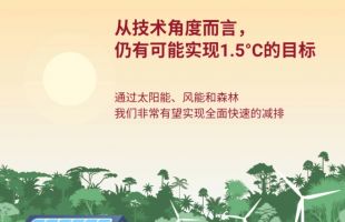 聯(lián)合國環(huán)境規(guī)劃署發(fā)布《2024年排放差距報(bào)告》