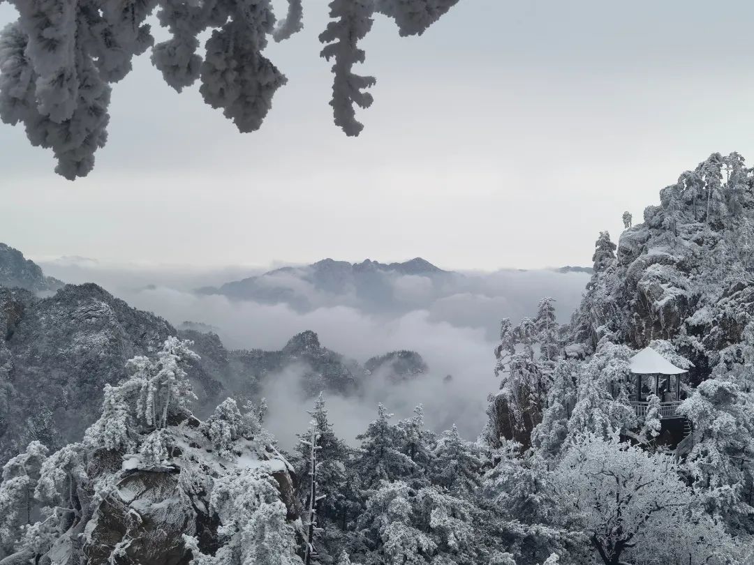 河南西峽太平鎮(zhèn)：好生態(tài)帶熱鄉(xiāng)村游