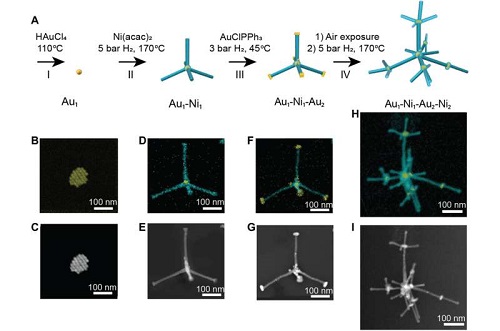 3D納米結(jié)構(gòu)的多步合成。圖片來源：《科學(xué)進(jìn)展》